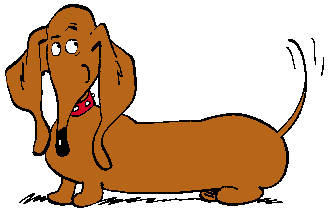 dackel