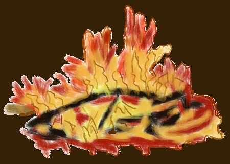 feuer